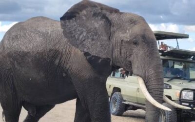 EAST AFRICA WITH A DIFFERENCE